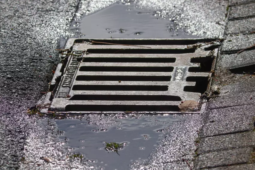 What Causes Blocked Outside Drains?